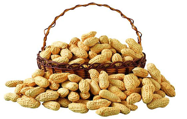 Main points of store peanut